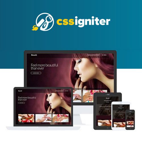 CSS Igniter Beaute WordPress Theme